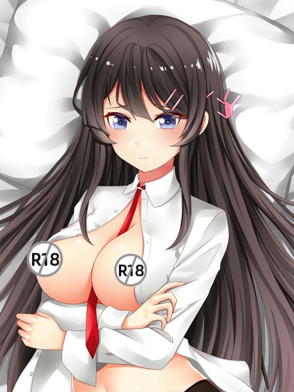 Rascal Does Not Dream of a Dreaming Girl Dakimakura Pillow Cover Sakurajima Mai YC0822 YC0823