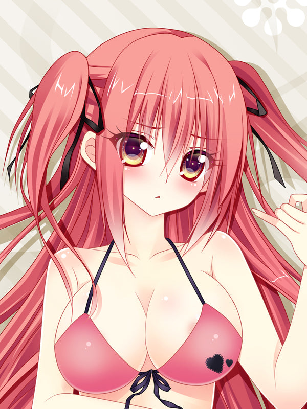 Seirei Tsukai no Blade Dance Claire Rouge Dakimakura Body Pillow Cover Cute Girl YC0260 YC0261